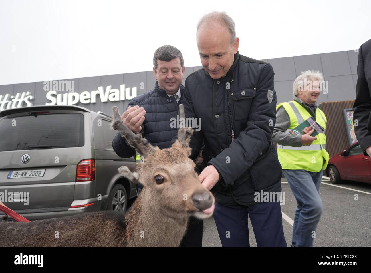 Tanaiste et le leader du Fianna Fail Micheal Martin (au centre droit) rencontrent Deermuid le cerf lors du démarchage au magasin Pettitts SuperValu à Arklow, Co Wicklow, le dernier jour de la campagne avant les élections générales de vendredi. Date de la photo : jeudi 28 novembre 2024. Banque D'Images