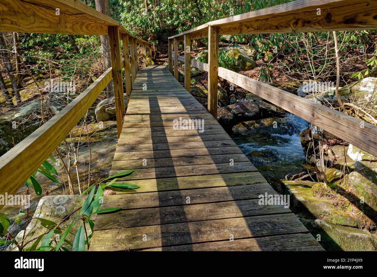 Une vue à travers le pont en bois un sentier traversant le ruisseau à écoulement rapide avec des rochers dans la forêt sur une journée ensoleillée brillante en hiver tardif Banque D'Images Une vue à travers le pont en bois un sentier traversant le ruisseau à écoulement rapide avec des rochers dans la forêt sur une journée ensoleillée brillante en hiver tardif Banque D'Images