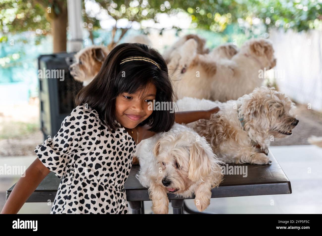 Une jeune fille sourit doucement, entourée de ses adorables compagnons canins moelleux. Amour pur et amitié. Banque D'Images