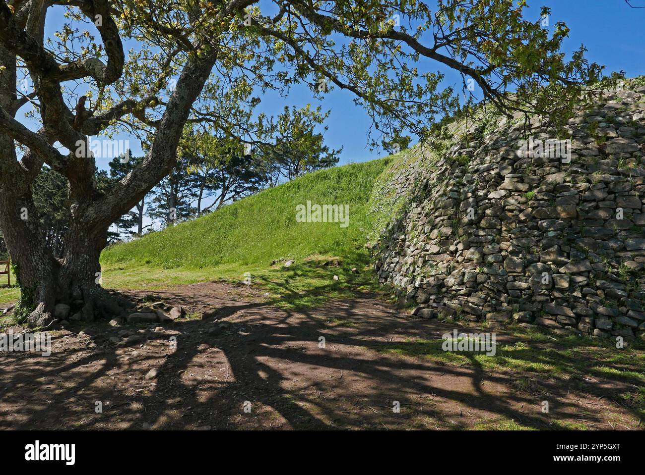 Cairn of Gavrinis, Larmor-Baden, Golfe du Morbihan, Morbihan, Bretagne, Bretagne, France, Europe Banque D'Images
