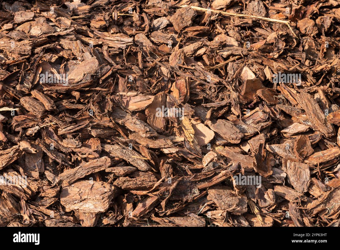 Un gros plan détaillé du paillis de bois naturel, idéal pour l'aménagement paysager, le jardinage ou les concepts agricoles. Banque D'Images