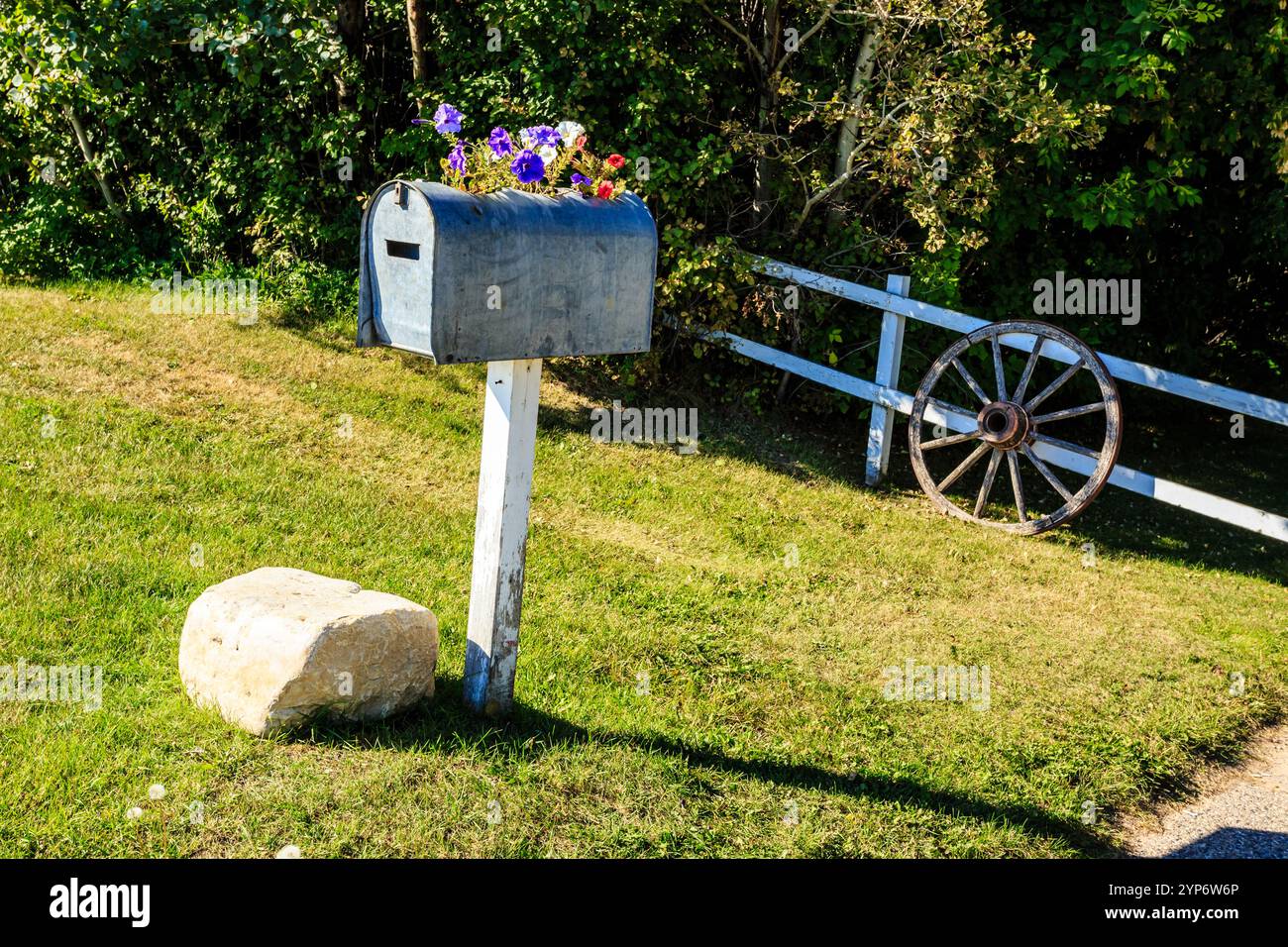 Une boîte aux lettres avec une roue sur le côté. La roue est vieille et rouillée. La boîte aux lettres est entourée d'herbe et de fleurs Banque D'Images