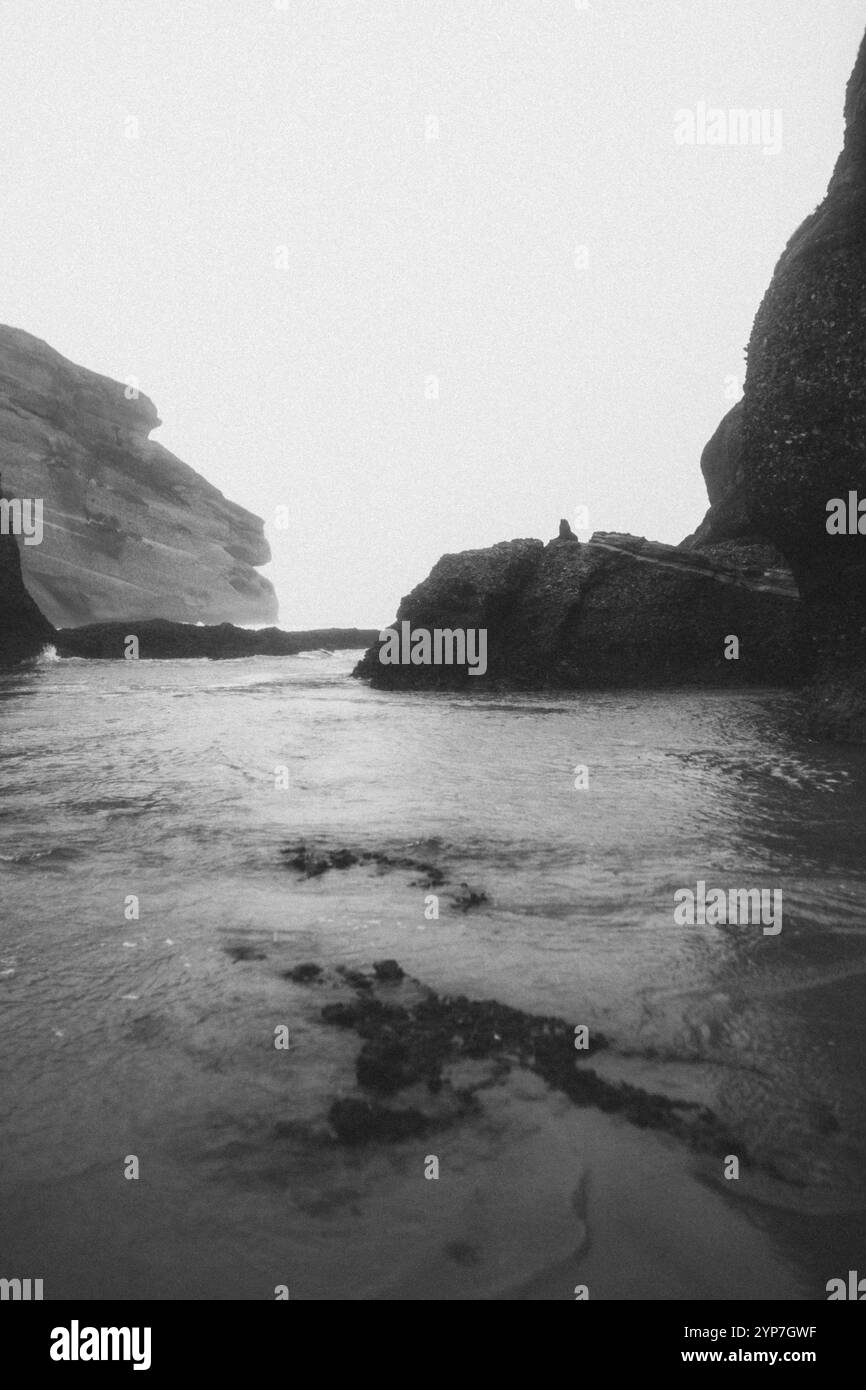 Photo en noir et blanc d'une côte rocheuse avec des mers agitées et du brouillard, Whakariki Beach, Nouvelle-Zélande, Océanie Banque D'Images