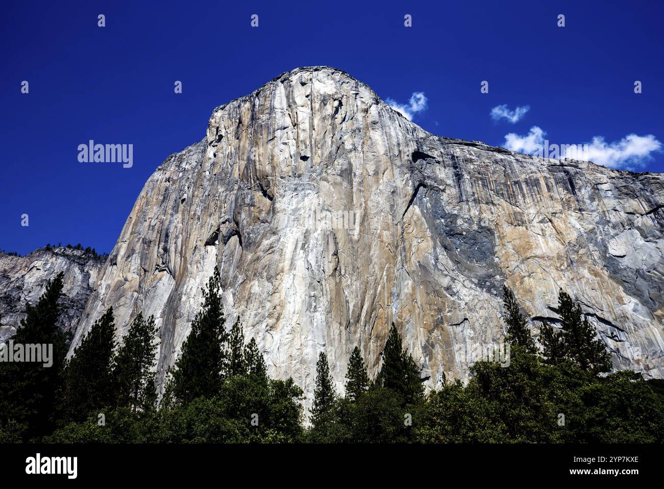 Mur d'escalade de renommée mondiale d'El Capitan, Yosemite National Park, California, USA Banque D'Images