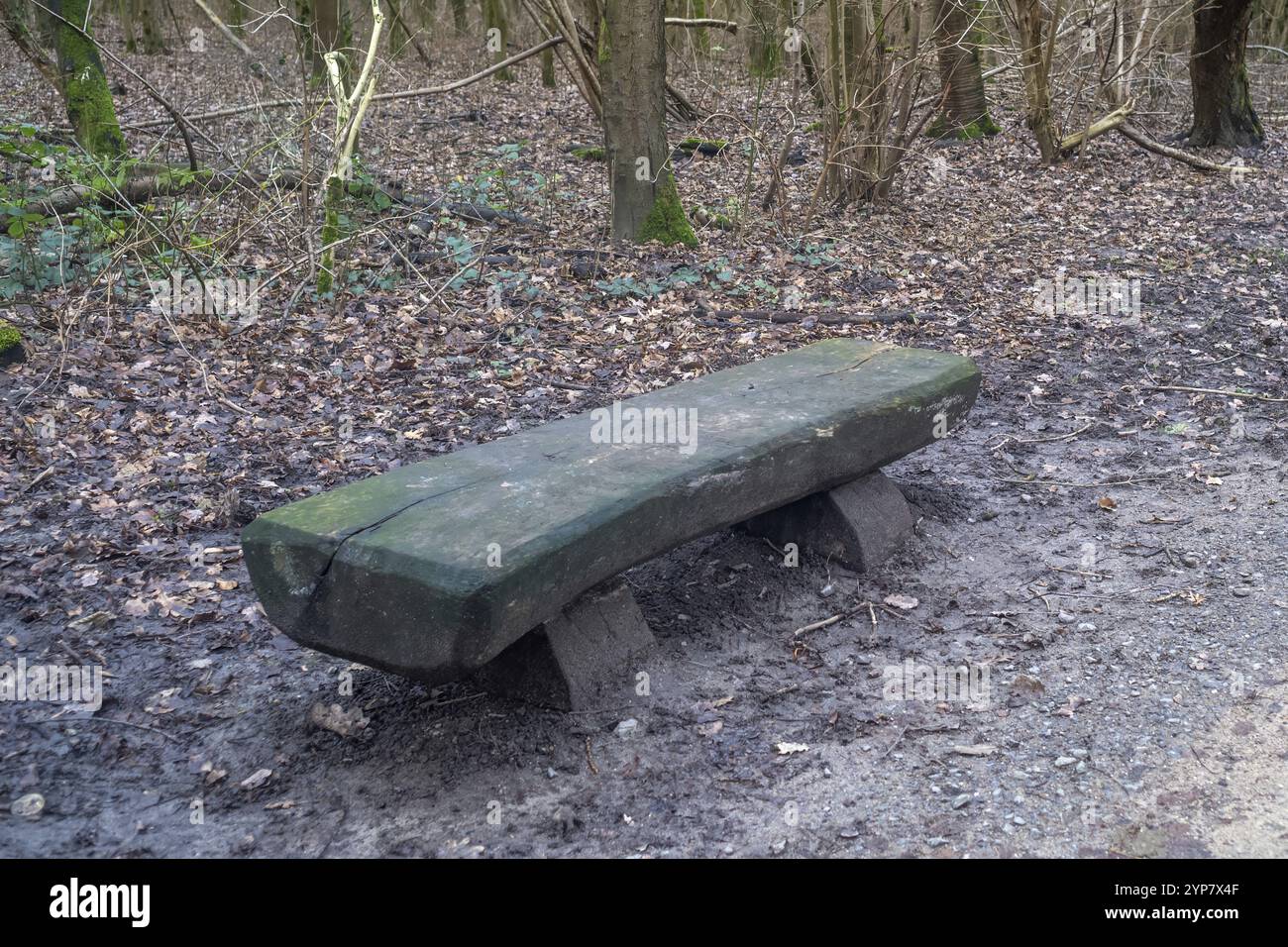 Banc mouillé en bois mouillé Banque D'Images