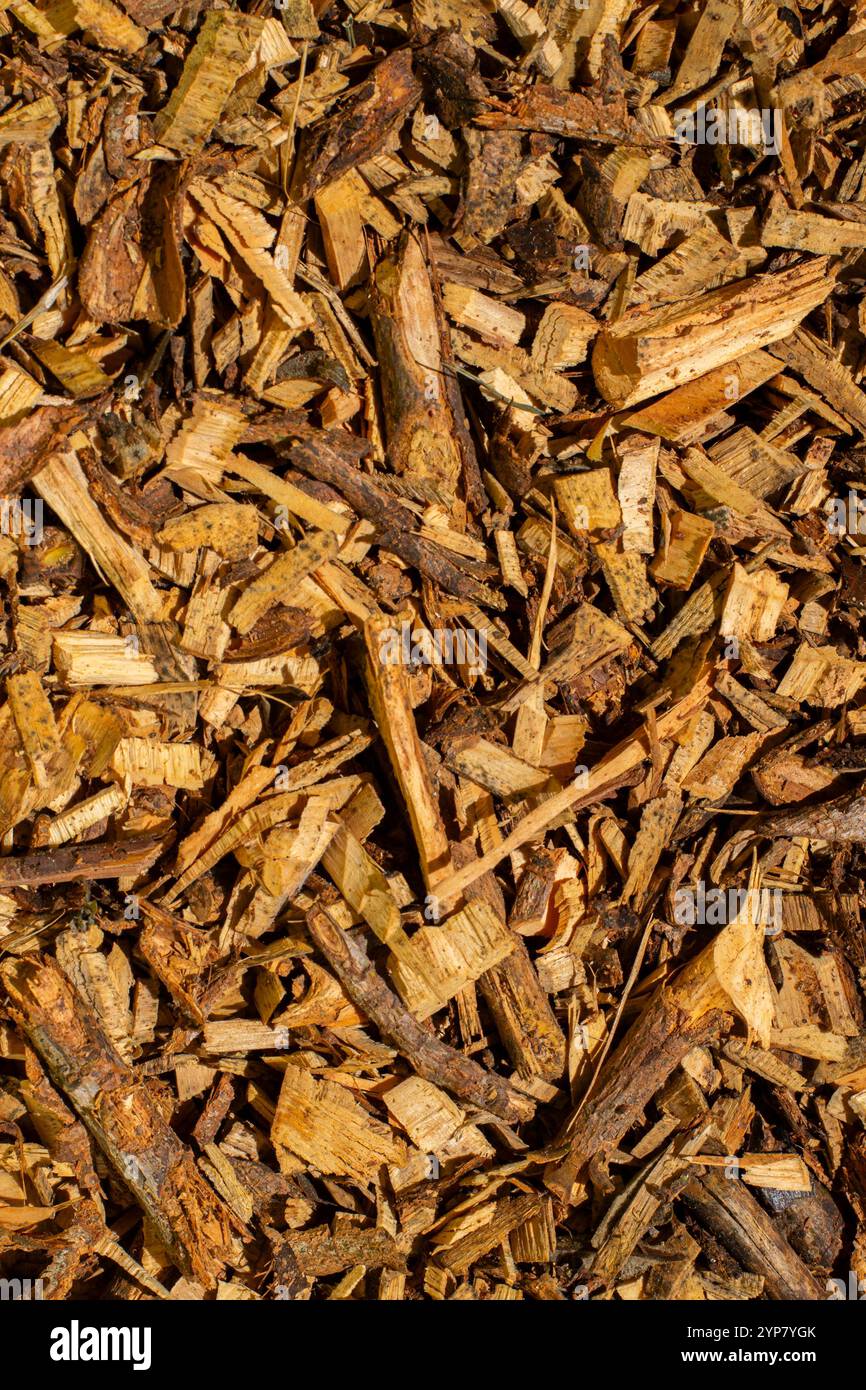 Compost des branches et des déchets de taille. Paillis. Engrais naturel. Banque D'Images