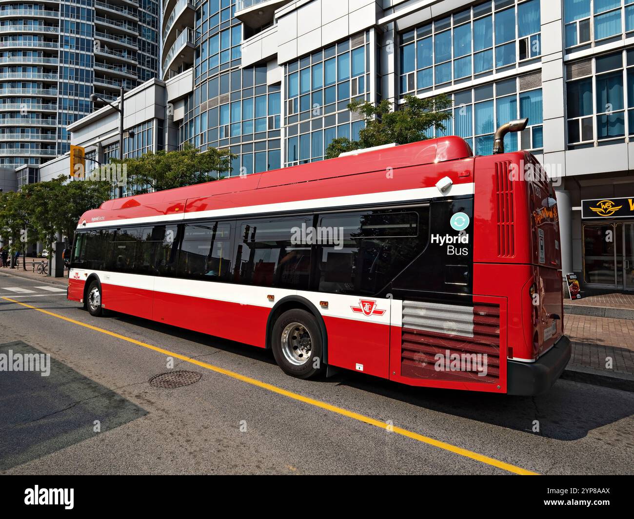 Toronto Canada / Un bus de la TTC à Queens Quay West, Toronto. Banque D'Images