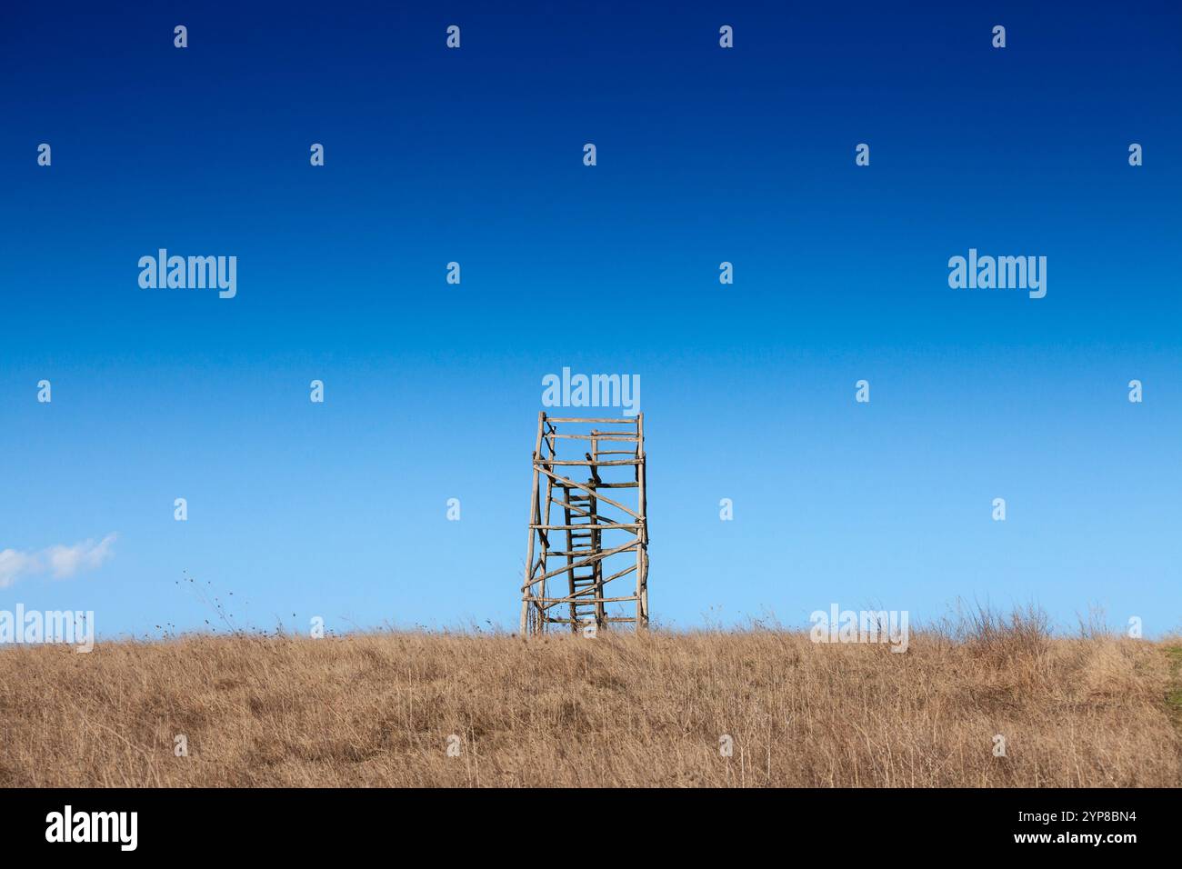 Une tour d'observation des oiseaux en bois située sur une colline dans la réserve Deliblato, en Serbie, offrant un endroit pittoresque pour observer les oiseaux et souligner l'impor Banque D'Images