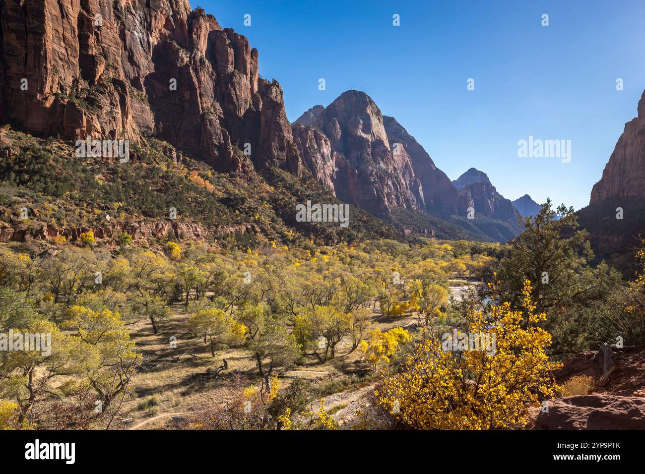 Découvrez la beauté époustouflante du parc national de Zion à Springdale, Utah. Cet endroit magnifique dispose d'imposantes falaises de grès et d'une vie animée Banque D'Images