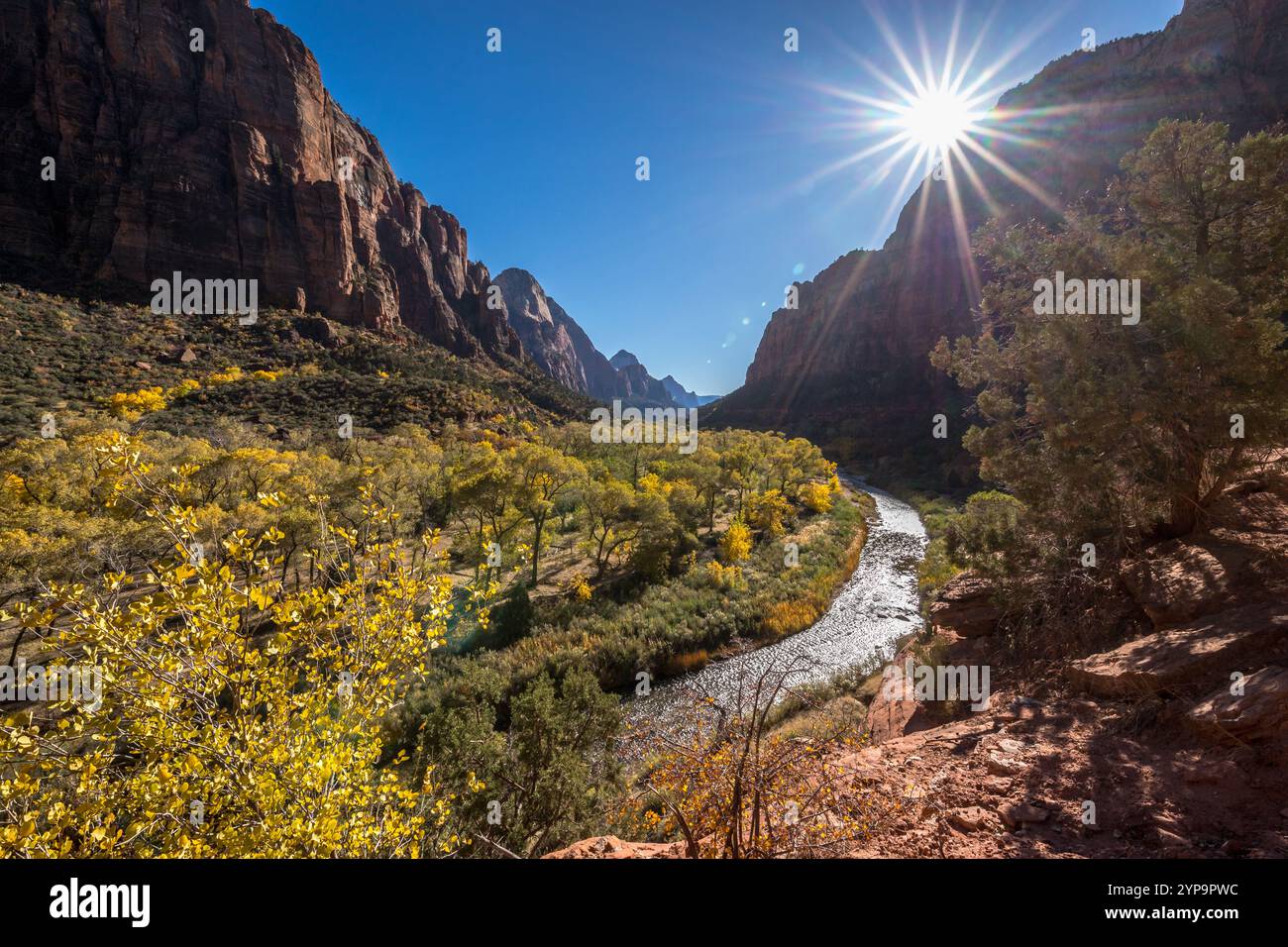 Découvrez la beauté époustouflante du parc national de Zion à Springdale, Utah. Cet endroit magnifique dispose d'imposantes falaises de grès et d'une vie animée Banque D'Images