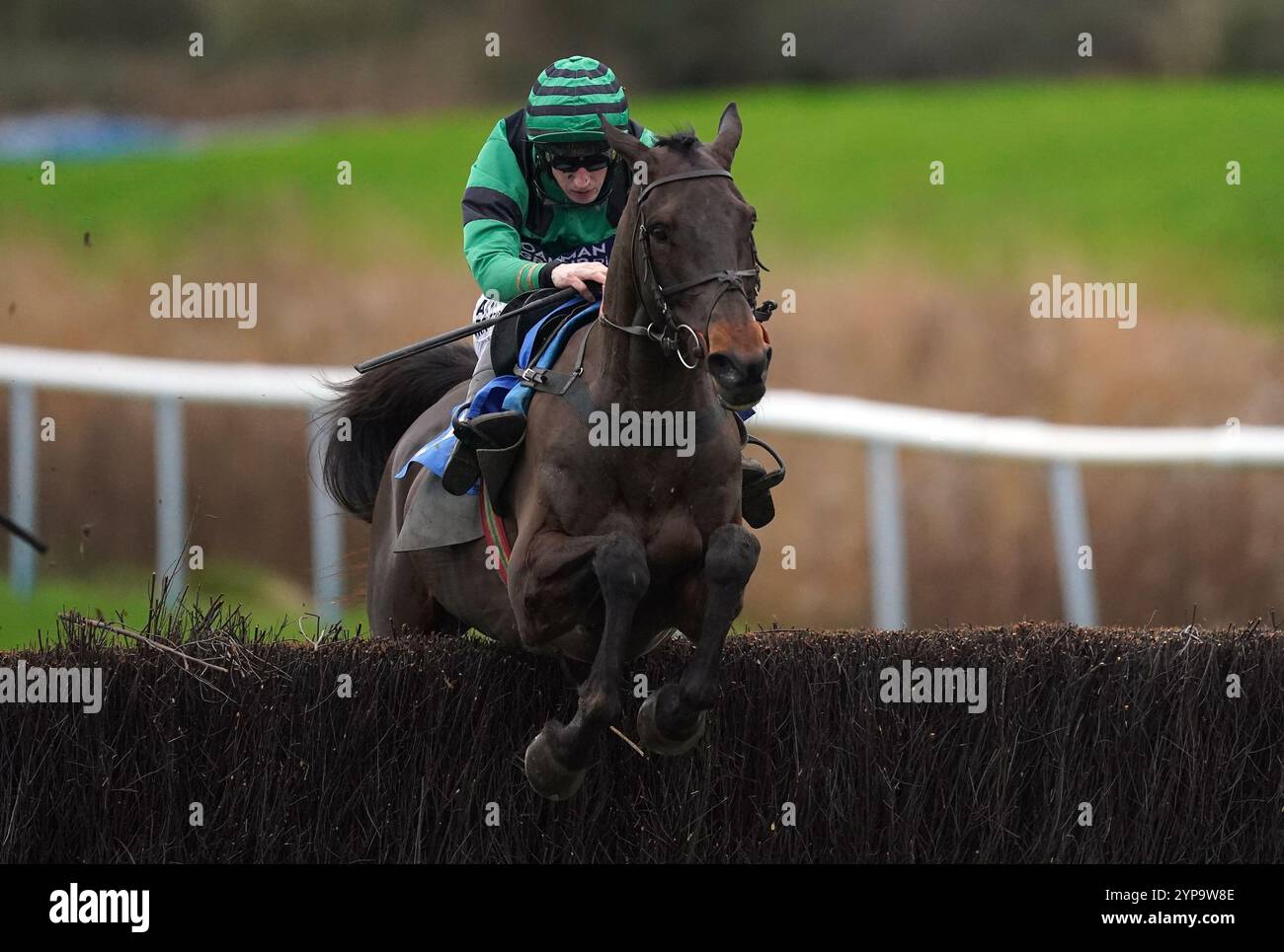 Photo de dossier datée du 23/01/24 de Arizona Cardinal, qui tire de nouveau sur tous les cylindres après avoir manqué sa cible Grand Sefton et a maintenant le Becher Chase dans ses yeux à la place. Date d'émission : vendredi 29 novembre 2024. Banque D'Images