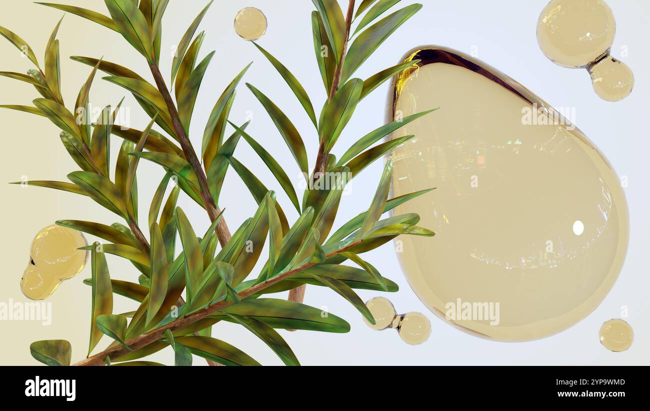 Rendu 3d de Melaleuca alternifolia ou arbre à thé et gouttelettes d'huile essentielle Banque D'Images