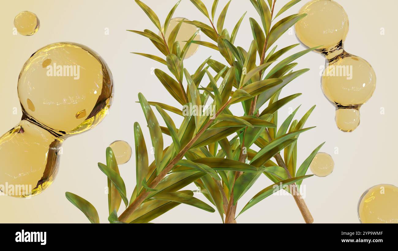 Rendu 3d de Melaleuca alternifolia ou arbre à thé et gouttelettes d'huile essentielle Banque D'Images