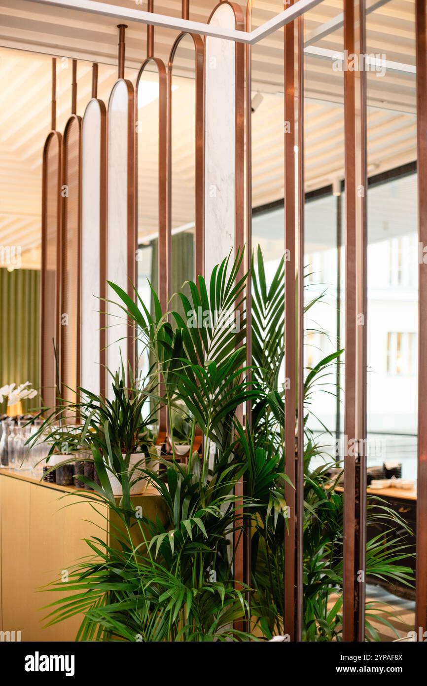 Photo intérieure de café avec miroirs et plante de palmier Banque D'Images