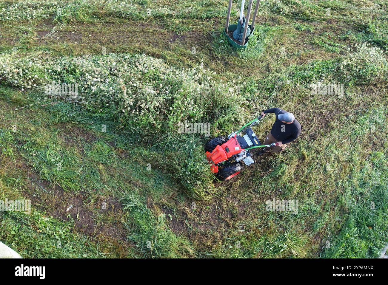 homme fauchant une prairie naturelle avec une tondeuse à barre, vue d'en haut Banque D'Images