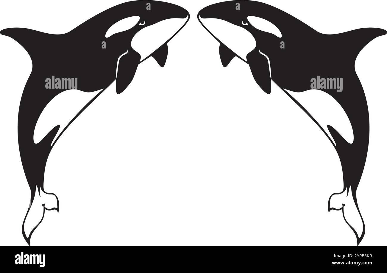 Deux épaulards sautant. Orcinus Orca. Illustration vectorielle. Illustration de Vecteur