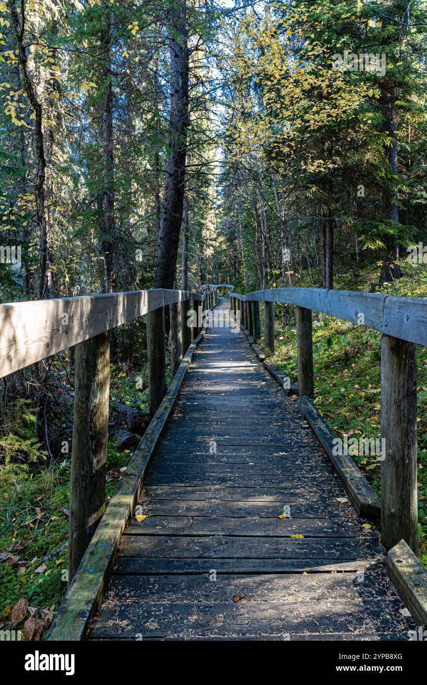 Un pont en bois enjambe une zone boisée. Le pont est entouré d'arbres et il est un endroit populaire pour les randonneurs Banque D'Images