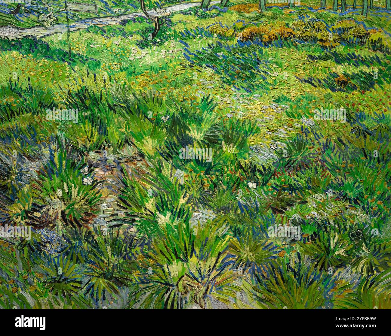 Long Grass avec papillons, Vincent van Gogh, 1890, Banque D'Images