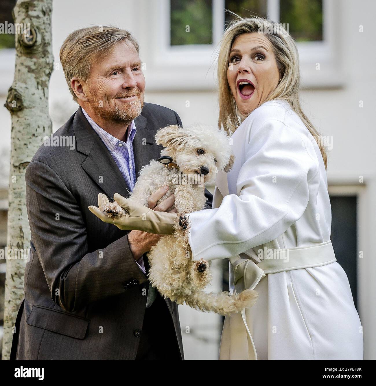 AMSTERDAM - 29/11/2024, le roi Willem-Alexander et la reine Maxima avec le chien Mambo lors d'une séance photo traditionnelle de la famille royale au Begijnhof. ANP REMKO DE WAAL pays-bas Out - belgique Out Banque D'Images