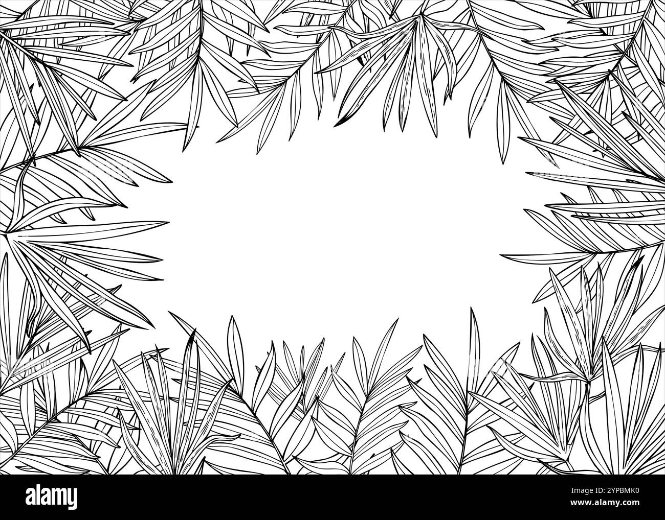 Vector dypsis, Areca Palm ou Cycas laisse un cadre rectangle horizontal avec un espace vide pour le texte. Dessin au trait de silhouette de feuille d'arbre monochrome tropical Illustration de Vecteur