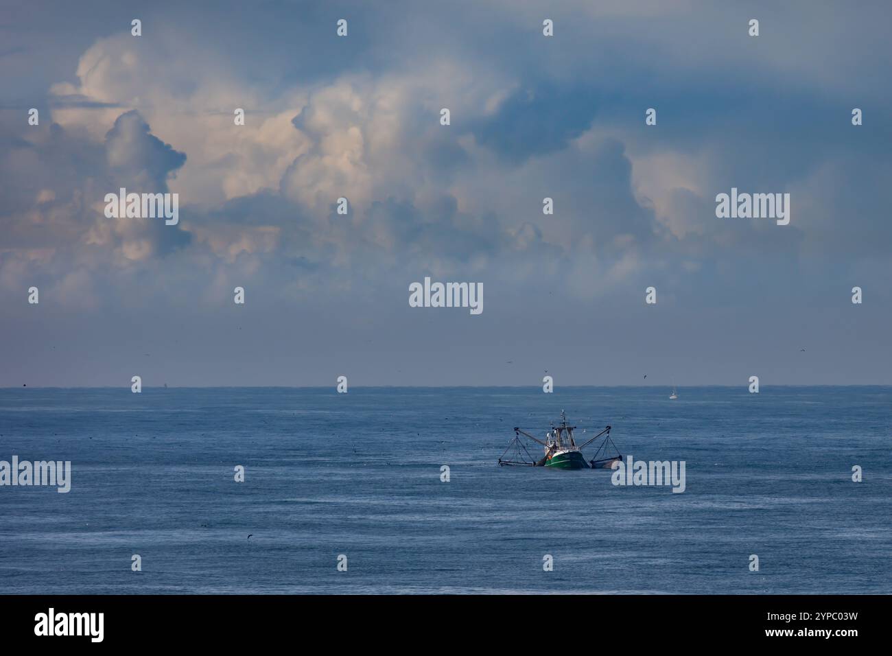 Un couteau avec filets de traînée levés sur la mer du Nord Banque D'Images