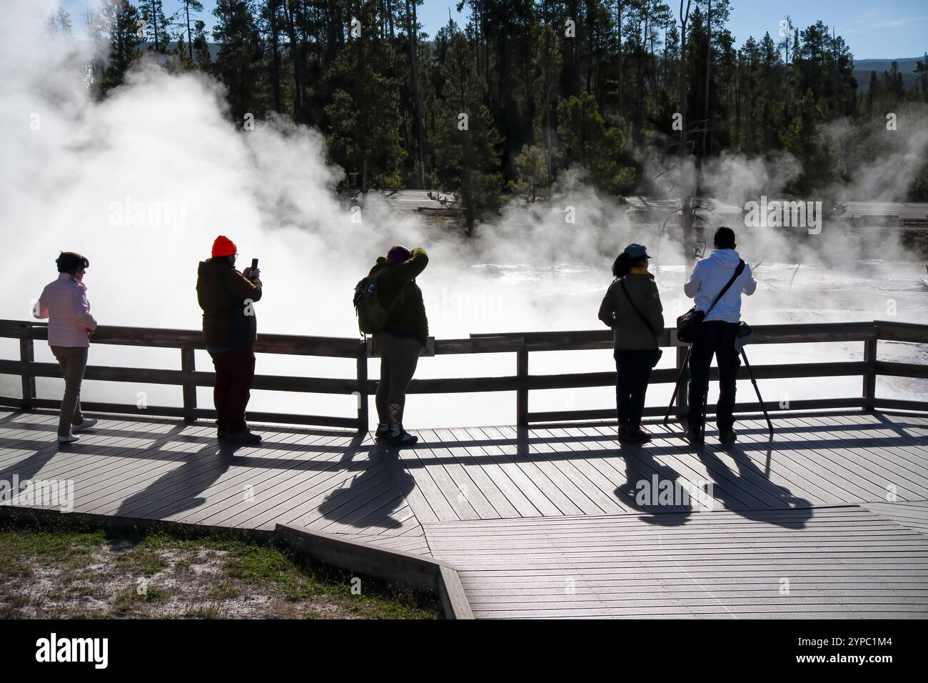 Une source de geyser active avec une décharge intermittente d'eau éjectée turbulemment et accompagnée de vapeur, parc national de Yellowstone, États-Unis Banque D'Images