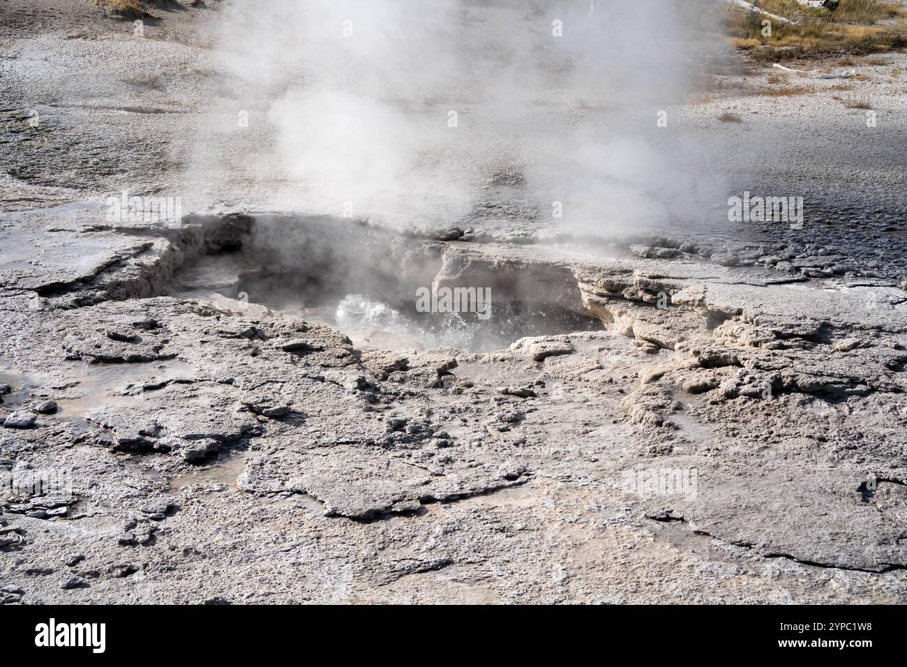 Une source de geyser active avec une décharge intermittente d'eau éjectée turbulemment et accompagnée de vapeur, parc national de Yellowstone, États-Unis Banque D'Images