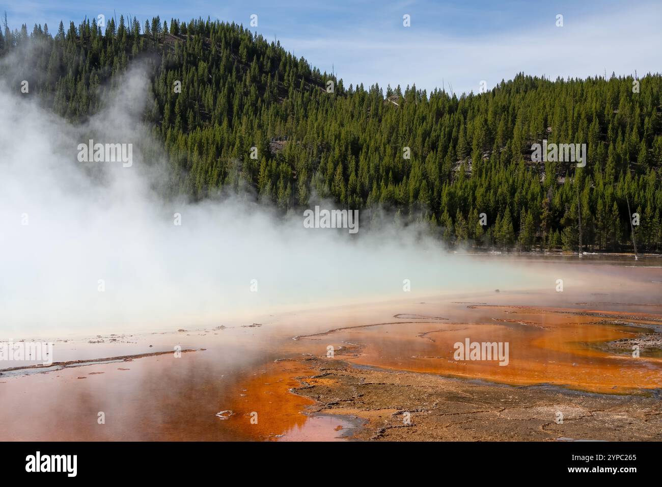 Une source de geyser active avec une décharge intermittente d'eau éjectée turbulemment et accompagnée de vapeur, parc national de Yellowstone, États-Unis Banque D'Images