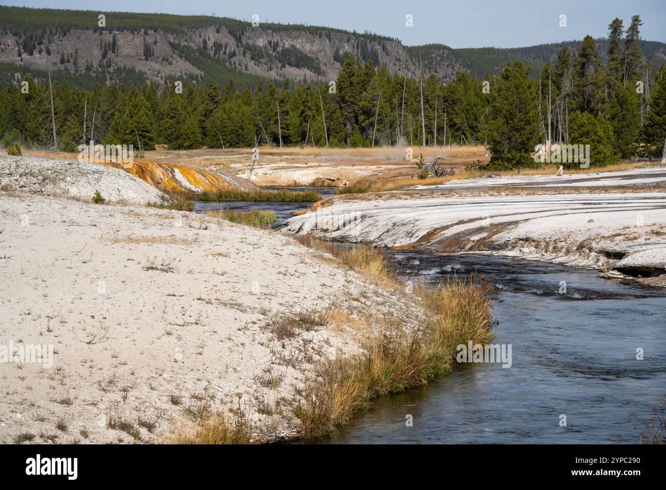 Une source de geyser active avec une décharge intermittente d'eau éjectée turbulemment et accompagnée de vapeur, parc national de Yellowstone, États-Unis Banque D'Images