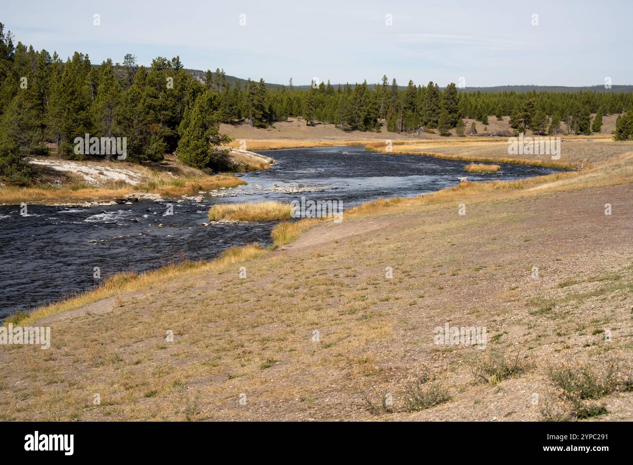 Une source de geyser active avec une décharge intermittente d'eau éjectée turbulemment et accompagnée de vapeur, parc national de Yellowstone, États-Unis Banque D'Images