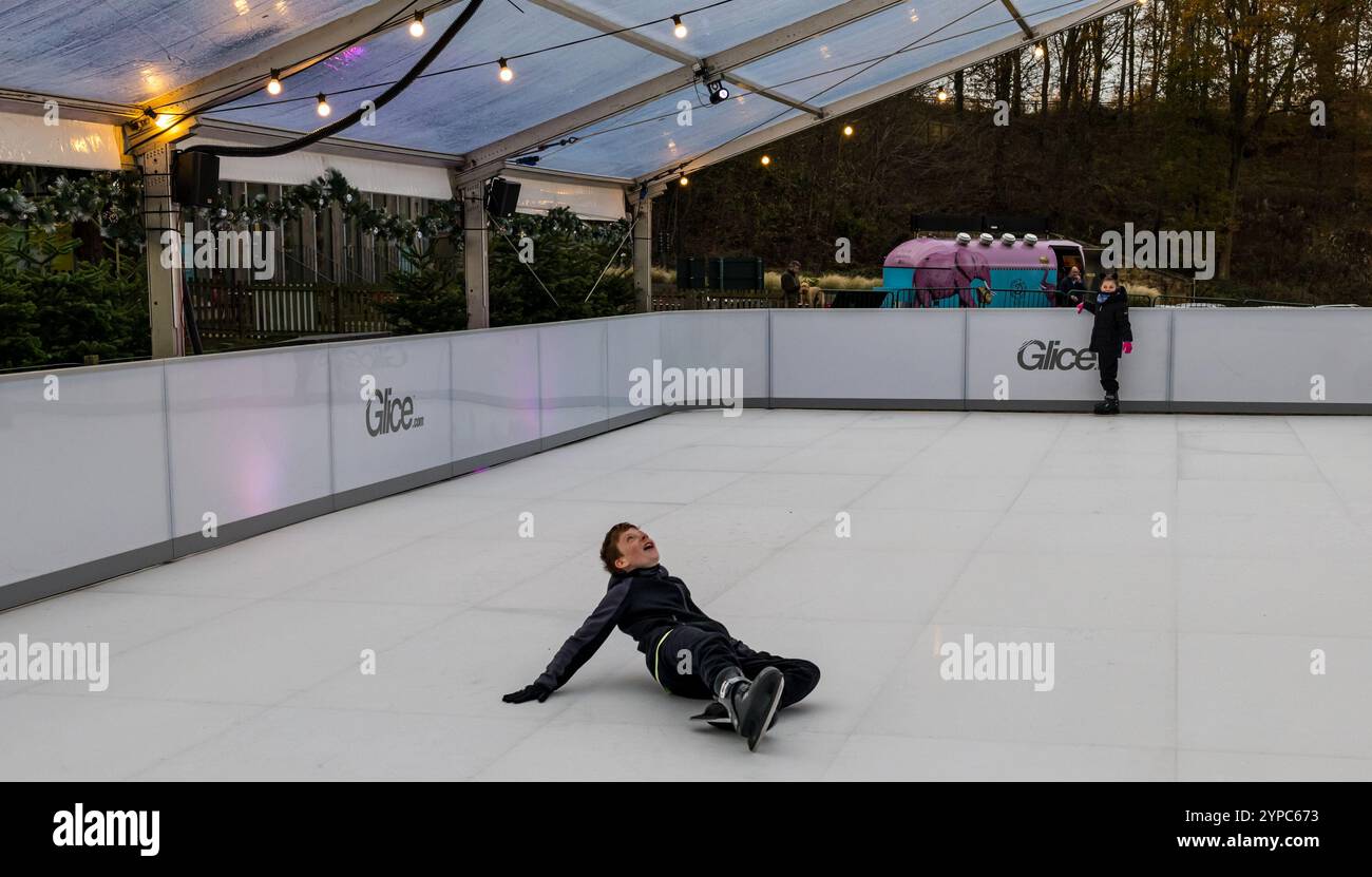 Dalkeith Country Park, Écosse, Royaume-Uni, 29 novembre 2024, Winterfest au Dalkeith Country Park : le jour d'ouverture de cet événement de Noël présente une toute nouvelle patinoire écologique comme pièce maîtresse des festivités. La patinoire utilise une technologie de pointe qui ne nécessite ni eau, ni énergie, ni émissions de carbone, ce qui en fait un moyen durable de profiter du plaisir festif. Les enfants aiment patiner avec des chutes occasionnelles. Crédit : Sally Anderson/Alamy Live News Banque D'Images