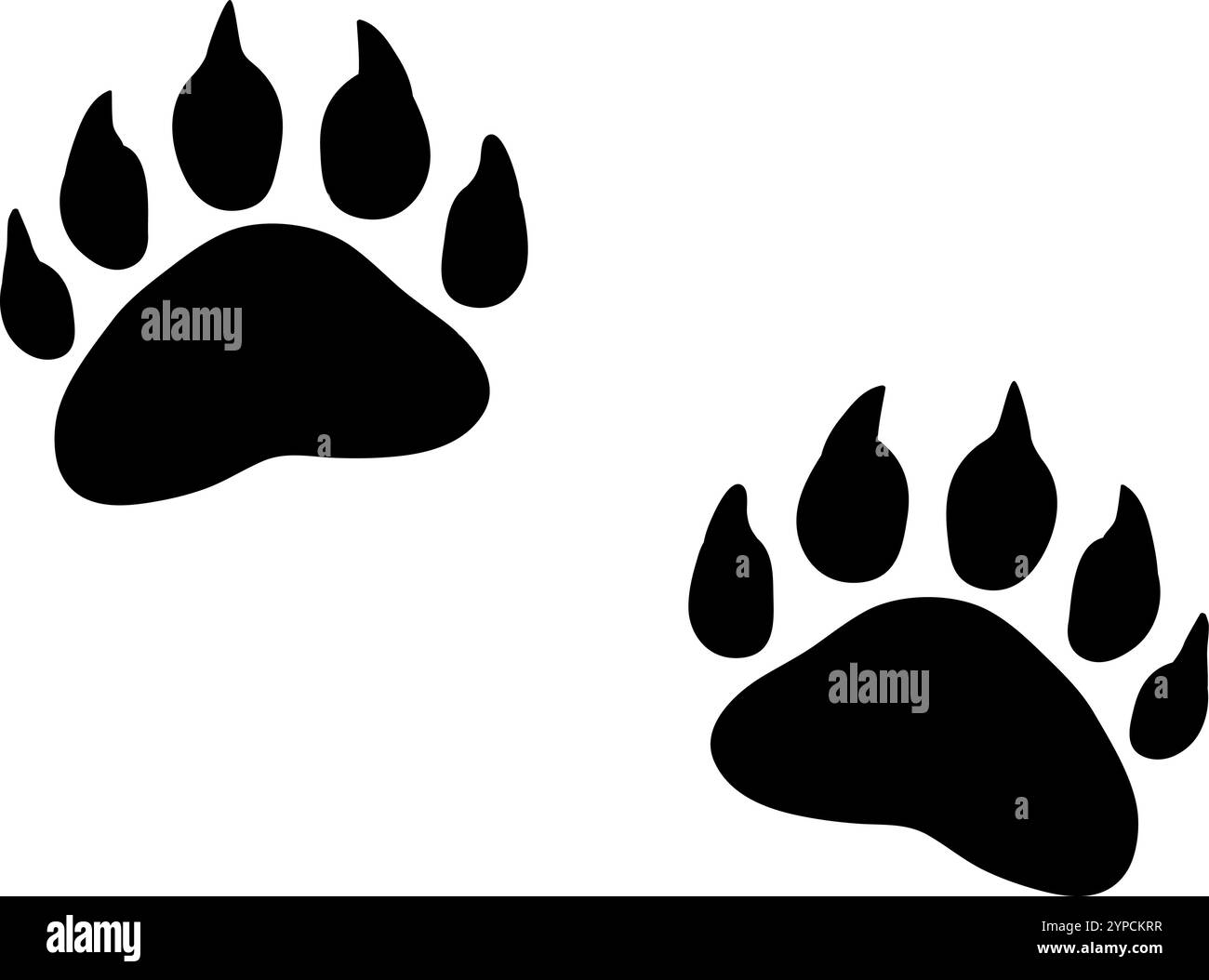 Deux grandes impressions de pattes d'ours noires affichées sur un fond blanc, présentant des griffes et des blocs avec des impressions détaillées. Rappelant le pouvoir et le rôle de l ours en tant que prédateur dans la nature Illustration de Vecteur