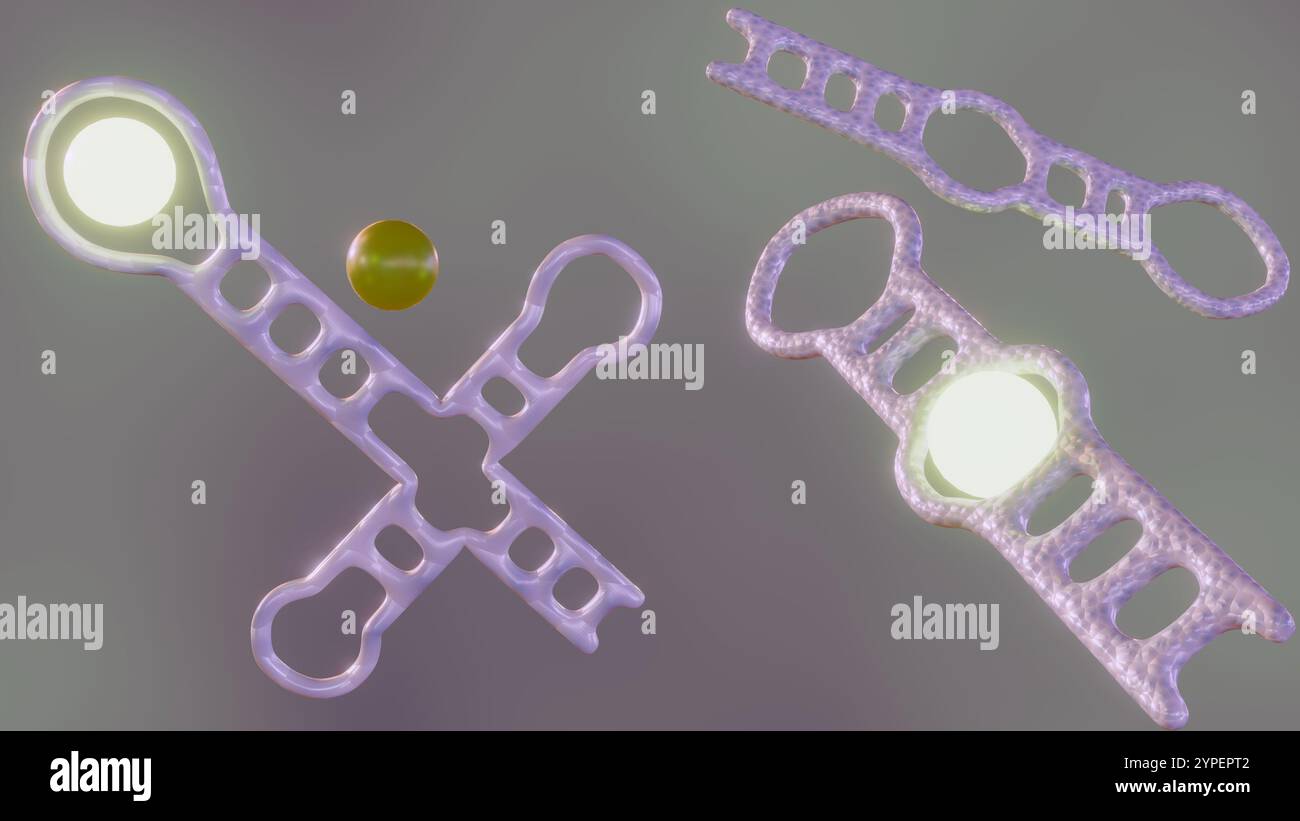 Les aptamères sont conçus pour se lier à l'analyte cible. Un fluorophore, une molécule qui émet de la lumière lorsqu'elle est excitée, est attaché à l'aptamère ; rendu 3D. Banque D'Images