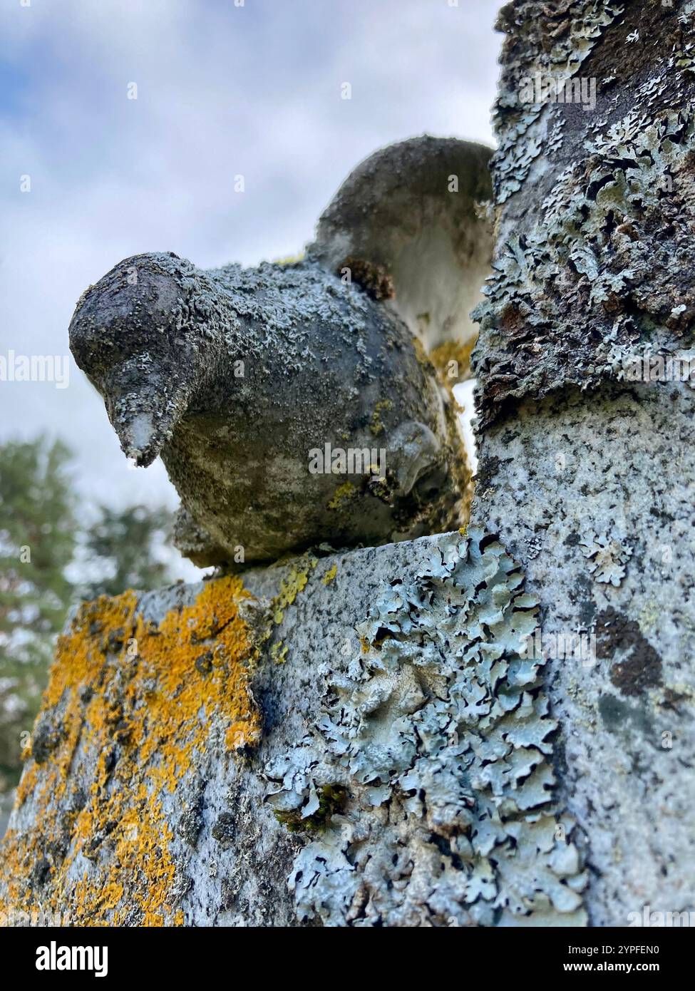 Un oiseau de pierre sur une vieille pierre tombale sur le cimetière du cimetière de Cromdale près de Grantown-on-Spey, en Écosse Banque D'Images Un oiseau de pierre sur une vieille pierre tombale sur le cimetière du cimetière de Cromdale près de Grantown-on-Spey, en Écosse Banque D'Images