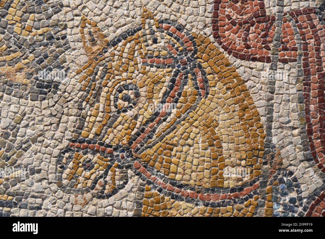 Détail de la mosaïque représentant la tête d'un cheval au Musée national d'art romain de Mérida, Espagne Banque D'Images