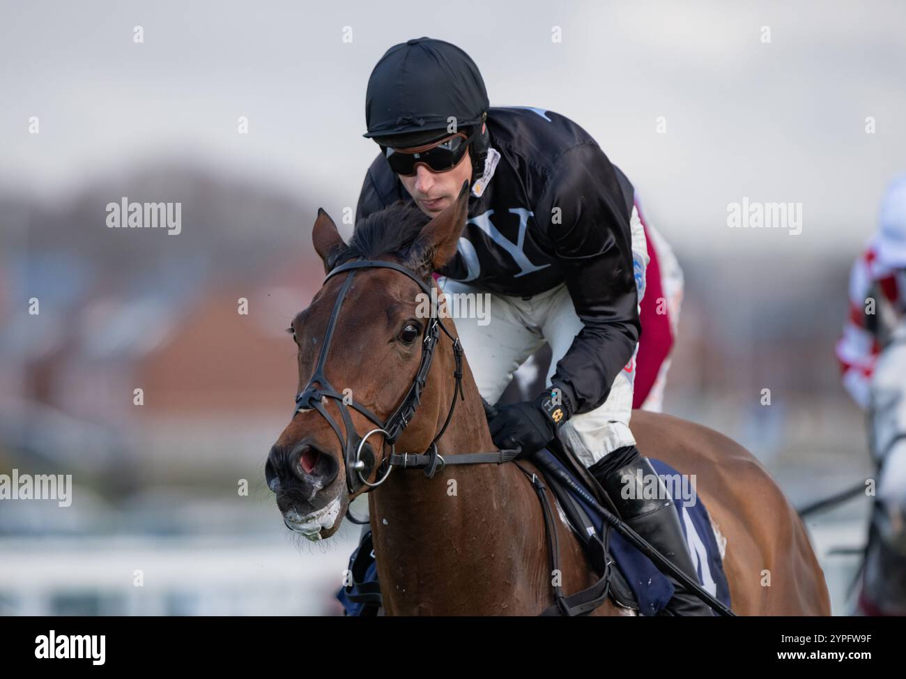 Newbury, Royaume-Uni. Samedi 30 novembre 2024. The New Lion et Harry Skelton remportent le Coral 'We're Here for It' pour les novices de l'entraîneur Dan Skelton et les propriétaires Darren & Annaley Yates. Crédit JTW Equine images / Alamy Live News Banque D'Images