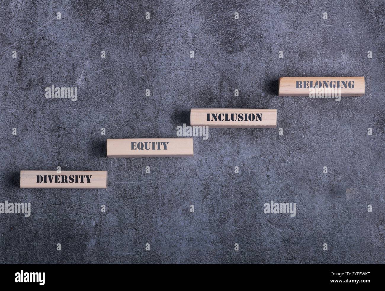 Équité, diversité, inclusion et symbole d'appartenance. Blocs en bois avec des mots équité, diversité, inclusion, appartenance sur un beau fond gris. Plongeur Banque D'Images