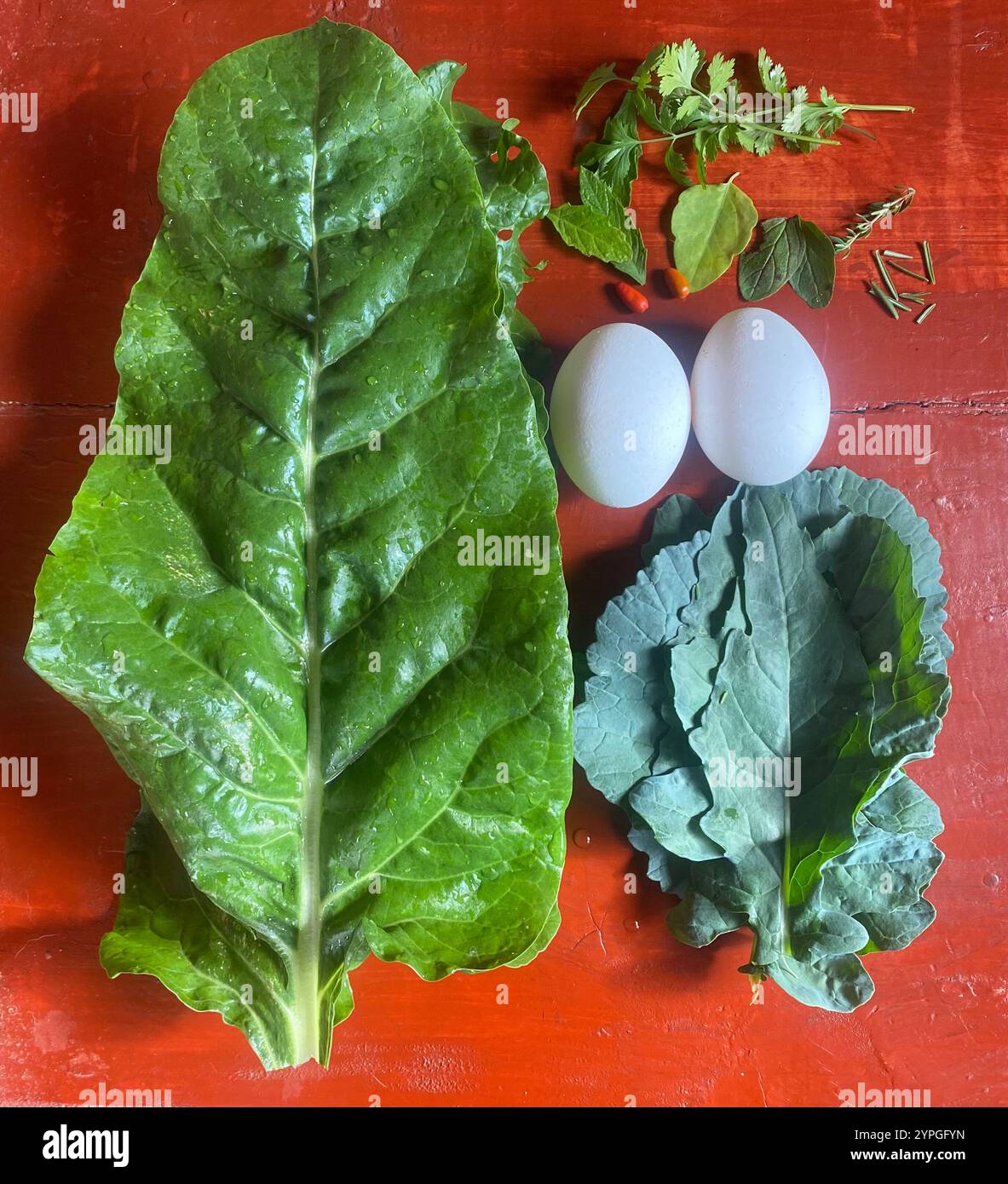 Blettes, colza, œufs, fines herbes et piments rouges prêts à être cuits à Querétaro, Mexique. Banque D'Images