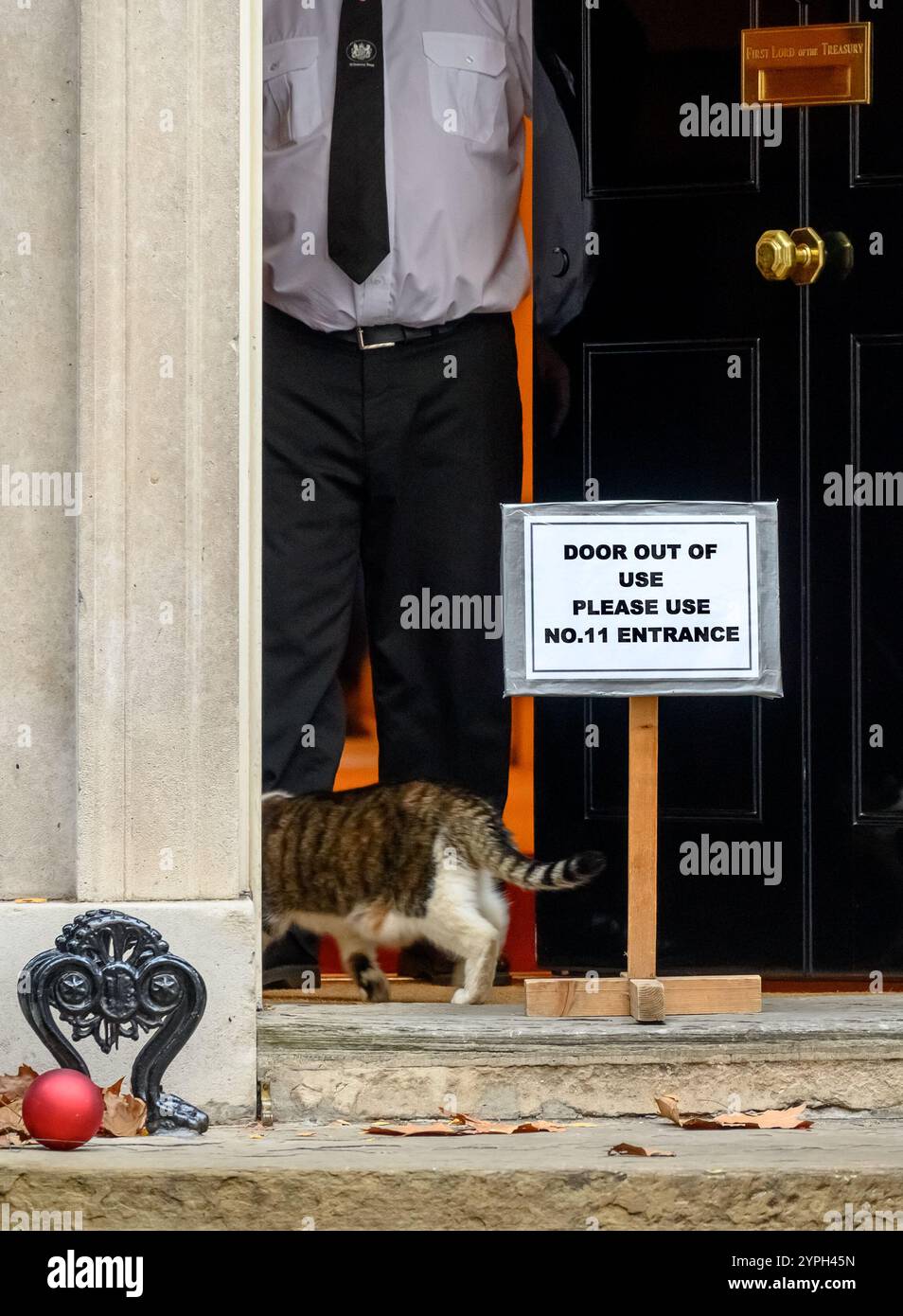 Larry le chat - Chef Mouser au Cabinet Office depuis 2011 - dans Downing Street alors que l'arbre de Noël est mis en place et ignorant la porte C. Banque D'Images