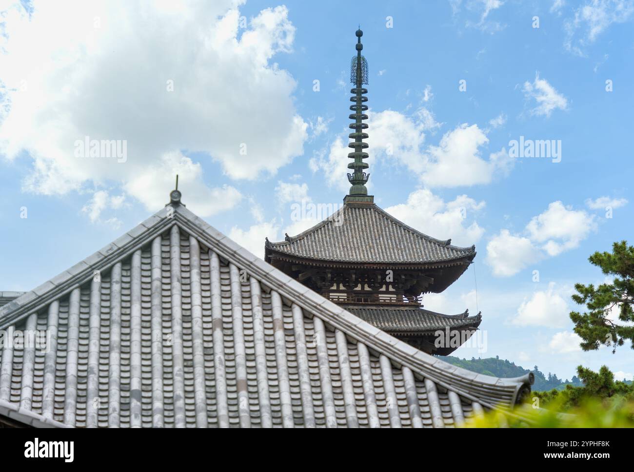 La pagode à cinq étages au complexe du temple bouddhiste Kofukuji à Nara, au Japon. Banque D'Images
