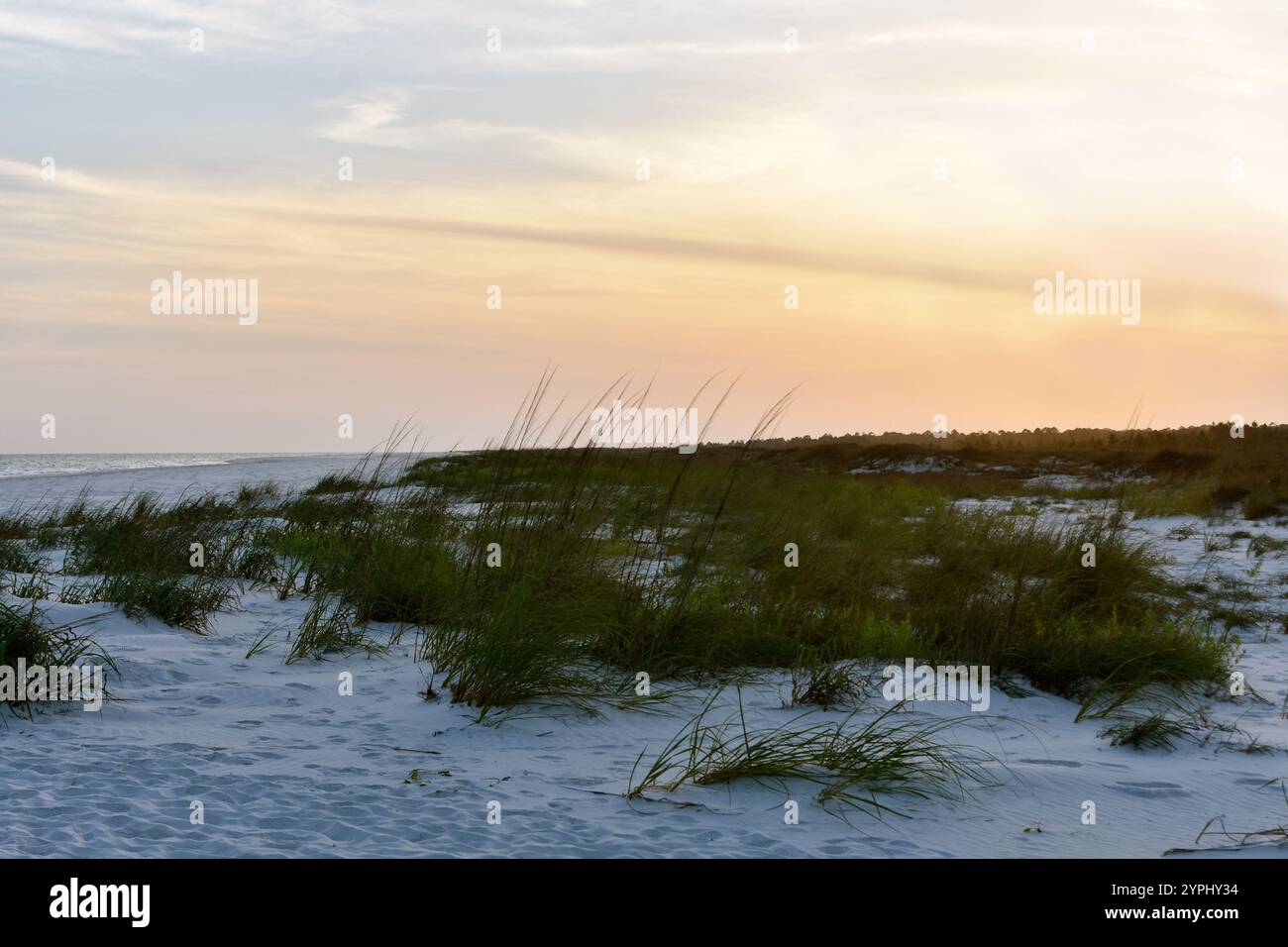 Scène de plage avec vagues et sable Banque D'Images