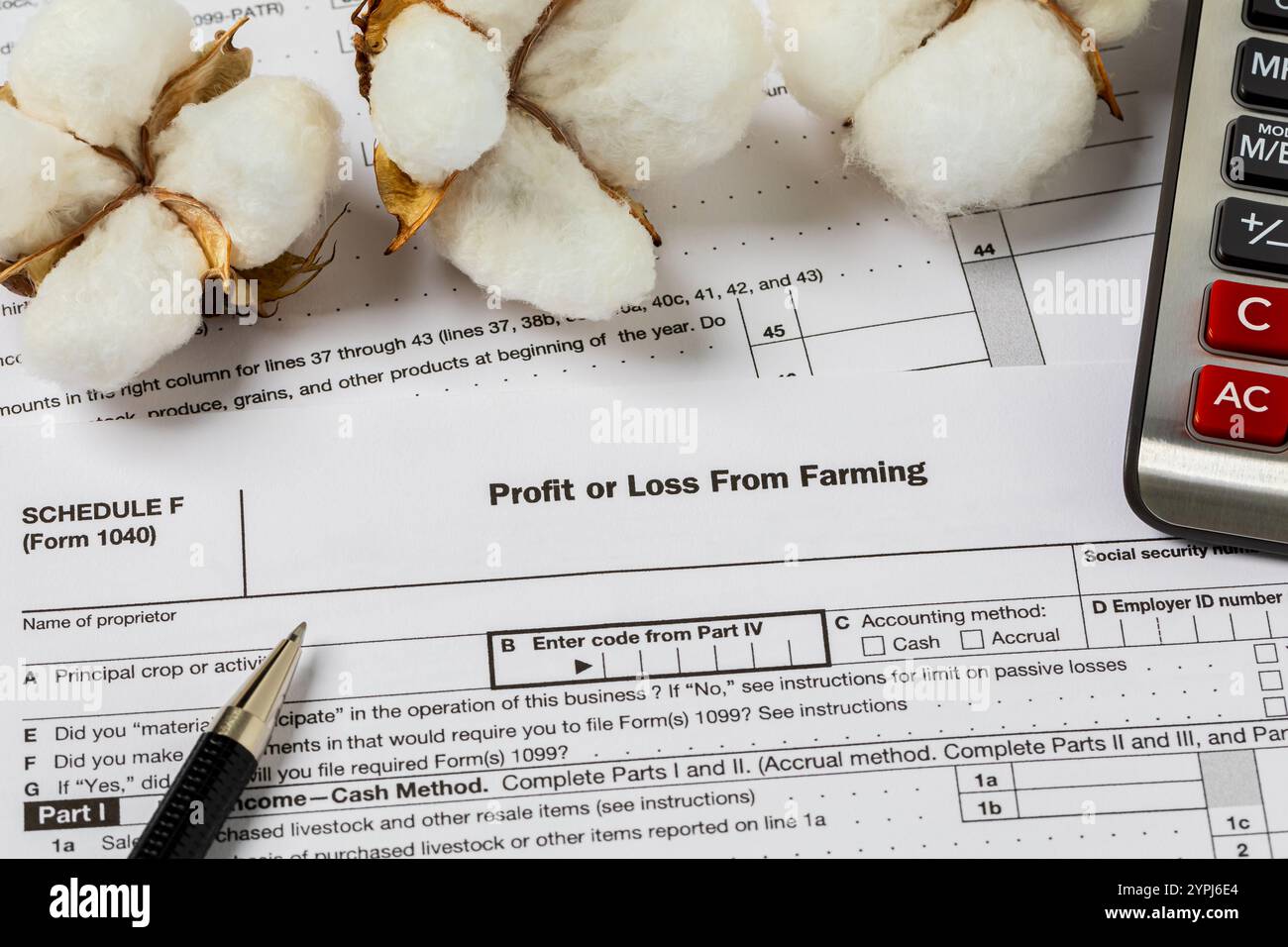 Bolls de coton de semence et formulaire de taxe agricole. Revenu agricole de coton, finances et concept de production. Banque D'Images