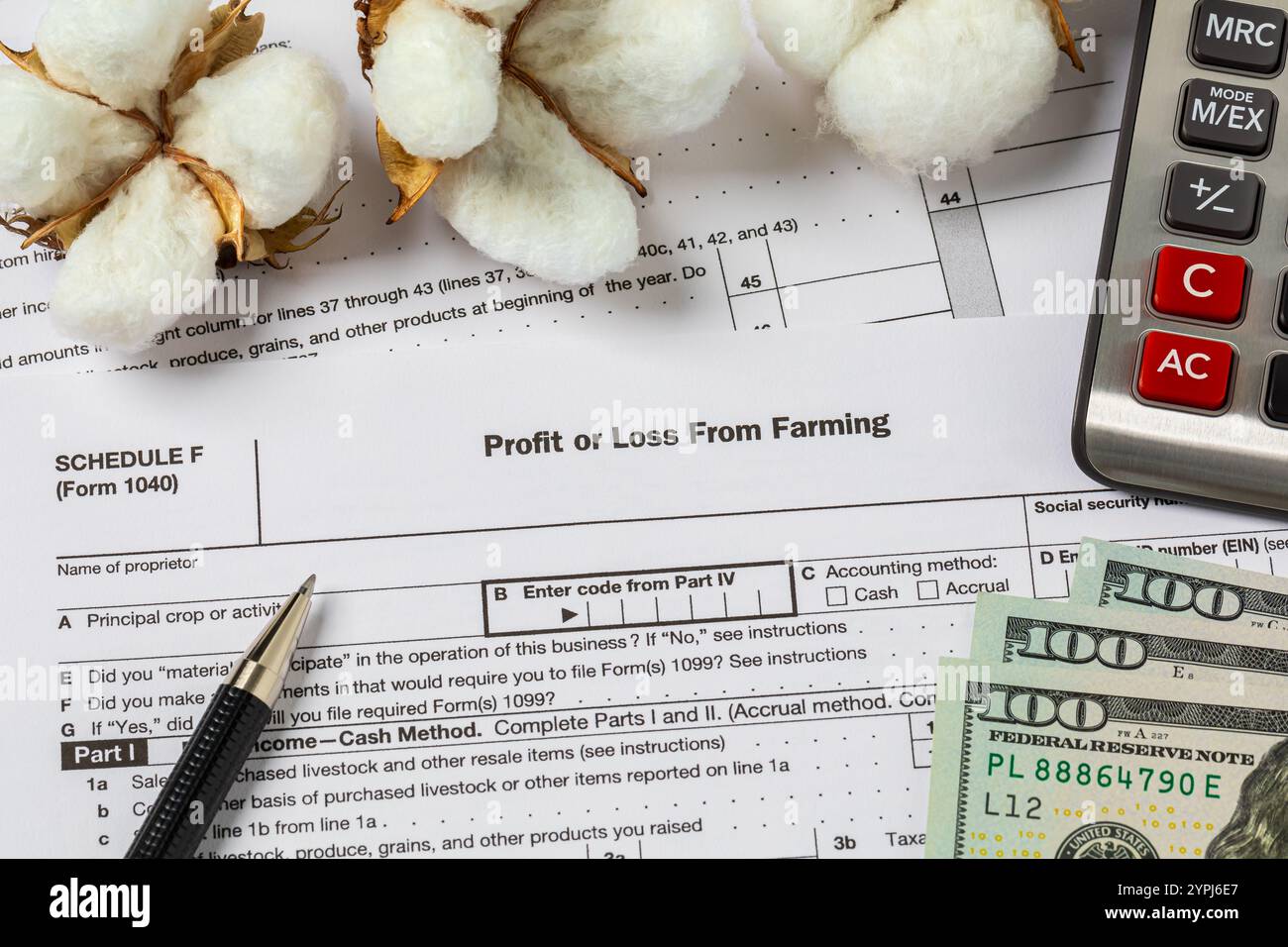 Bolls de coton de semence et formulaire de taxe agricole. Revenu agricole de coton, finances et concept de production. Banque D'Images