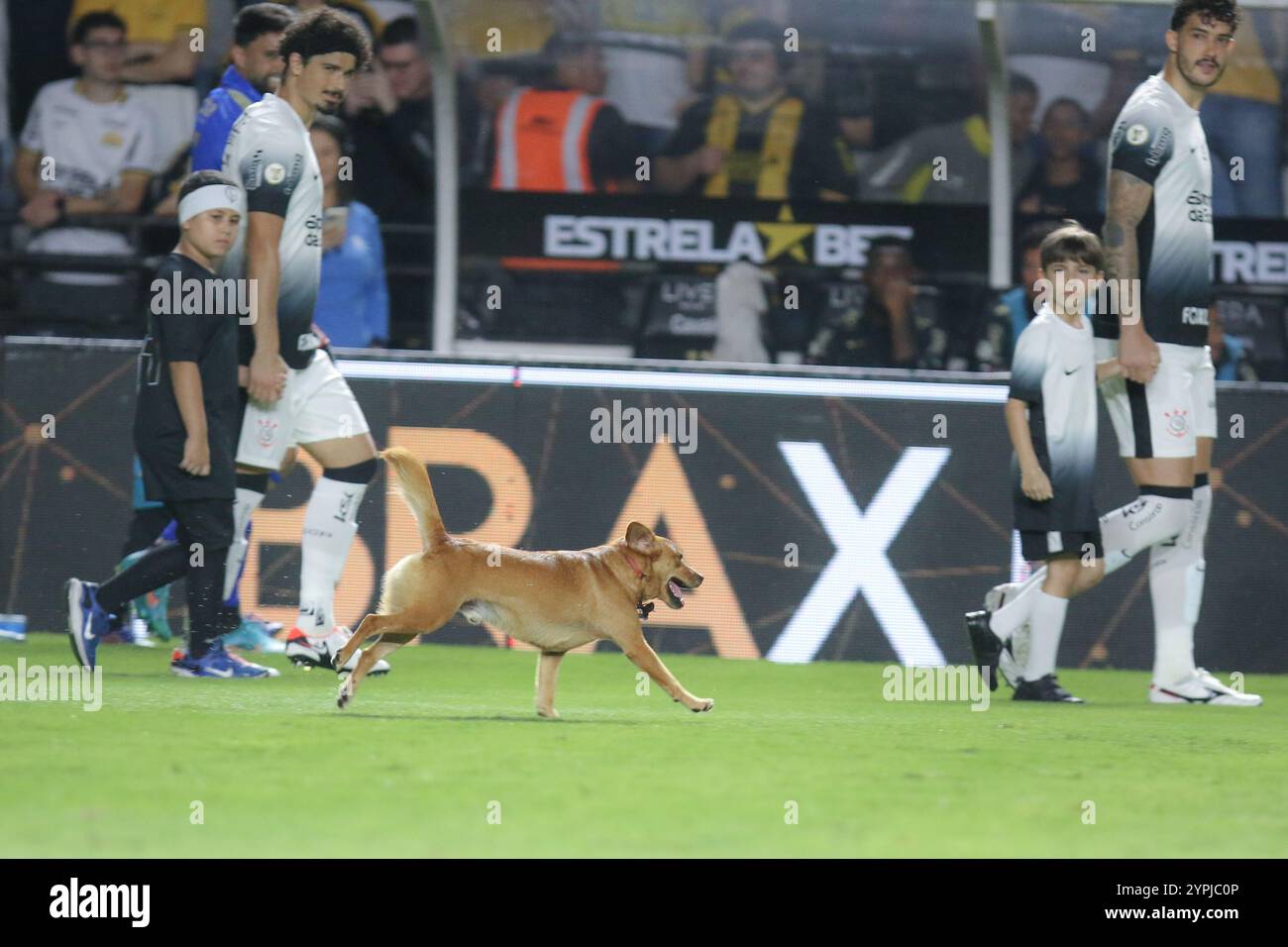 SC - CRICIUMA - 11/30/2024 - BRÉSIL A 2024, CRICIUMA x CORINTHIANS - vue générale du stade Heriberto Hulse pour le match entre Criciuma et Corinthians pour le championnat brésilien A 2024. Photo : Leonardo Hubbe/AGIF Banque D'Images