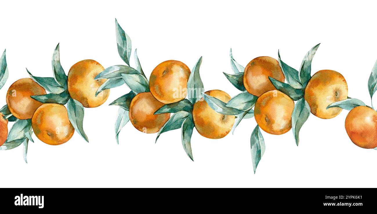 Branche de mandarin avec bordure sans couture de feuilles isolé sur fond blanc. Aquarelle dessinée à la main Banque D'Images