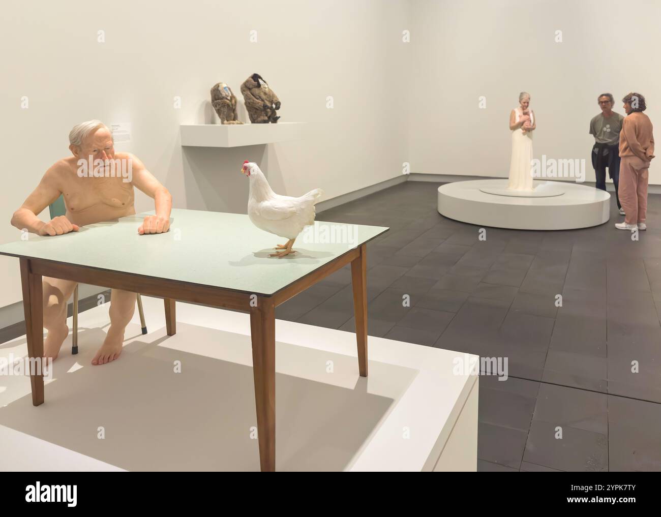 Exposition d'art intérieur à la Christchurch Art Gallery (te Puna O Waiwetu), Worcester Boulevard, Christchurch, Canterbury, Nouvelle-Zélande Banque D'Images