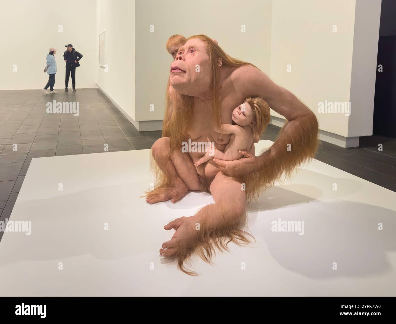 Exposition d'art intérieur à la Christchurch Art Gallery (te Puna O Waiwetu), Worcester Boulevard, Christchurch, Canterbury, Nouvelle-Zélande Banque D'Images