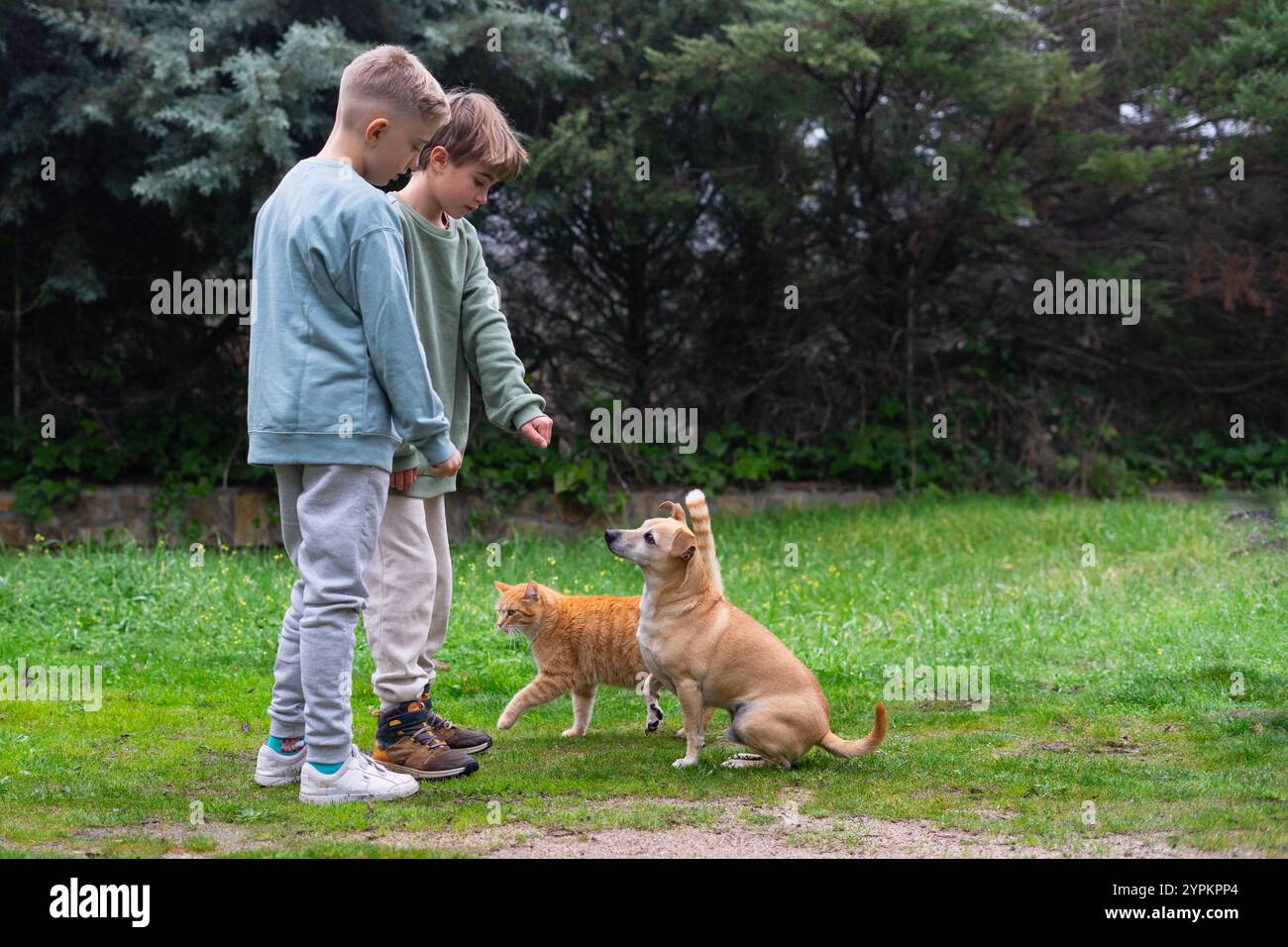 Enfants caucasiens formant leurs animaux de compagnie avec des friandises pour chiens Banque D'Images