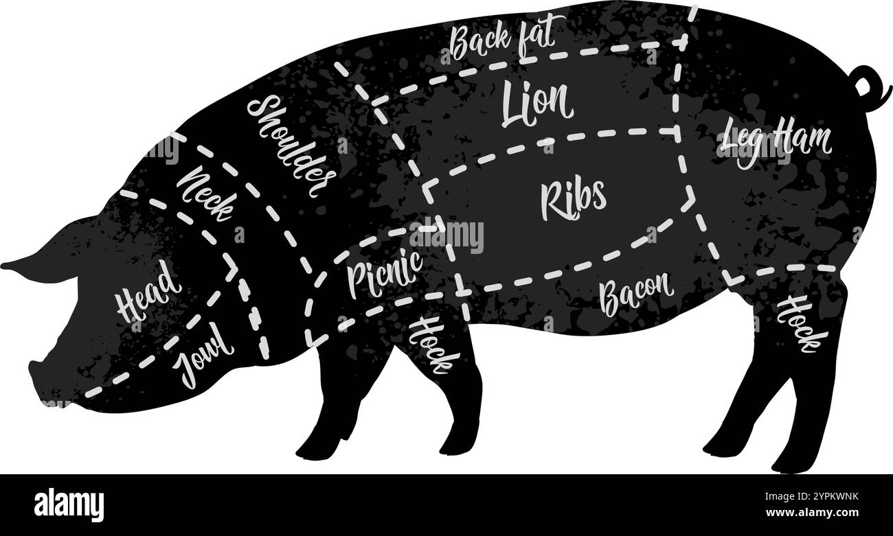 Diagrammes de boucher de coupes de viande, porc, porc Illustration de Vecteur