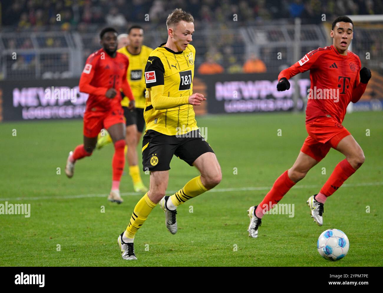 Signal Iduna Park Dortmund Allemagne, 30.11.2024, Footbal : l Bundesliga saison 2024/25 journée 12, Borussia Dortmund (BVB, jaune) vs FC Bayern Muenchen (FCB, rouge) — Maximilian Beier (BVB), Jamal Musiala (FCB) Banque D'Images